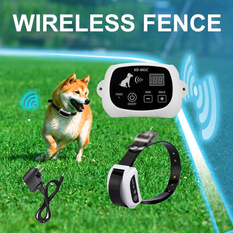 Fleet farm clearance wireless dog fence